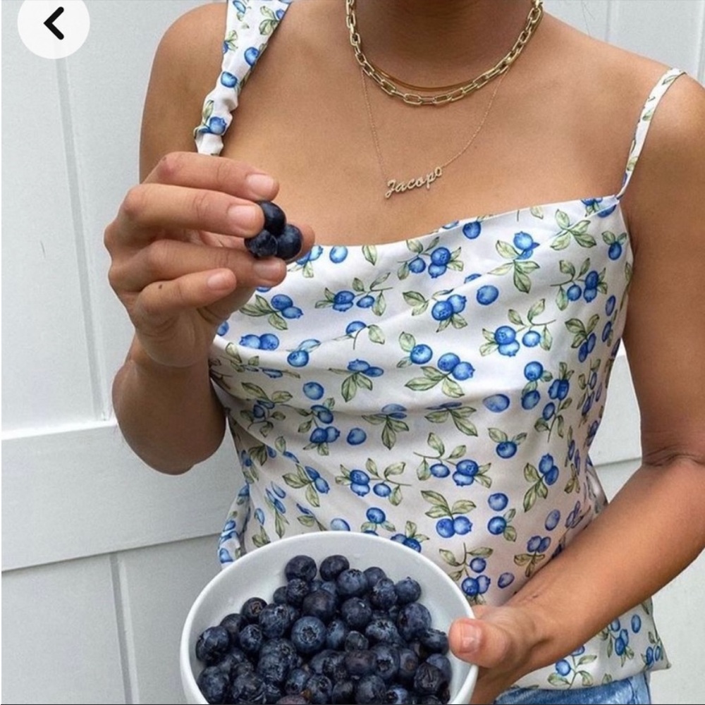 Silk blueberry top